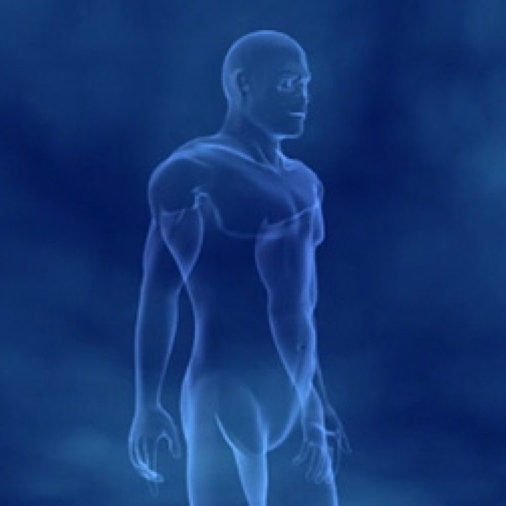 Le muscle, moteur du mouvement