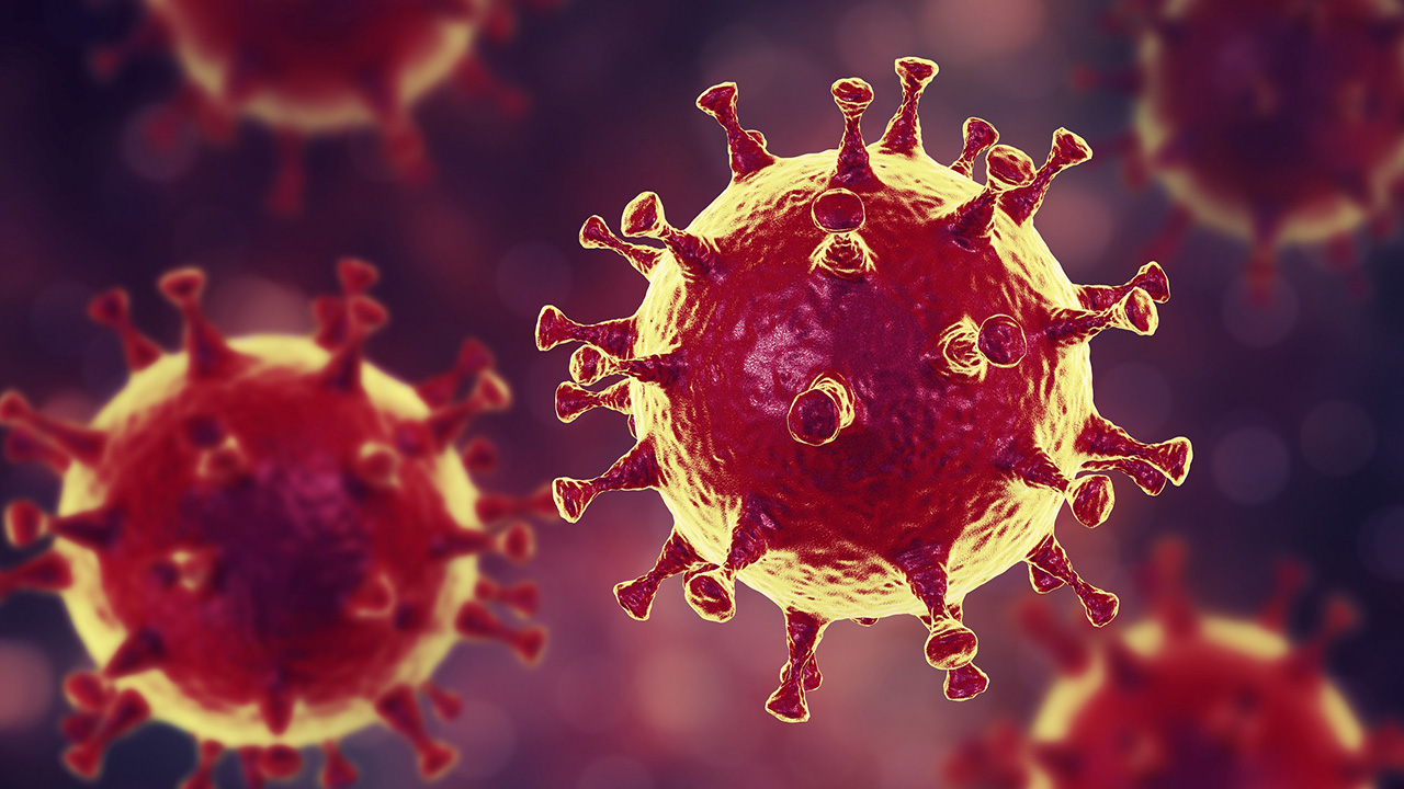 Coronavirus : le dispositif de prise en charge