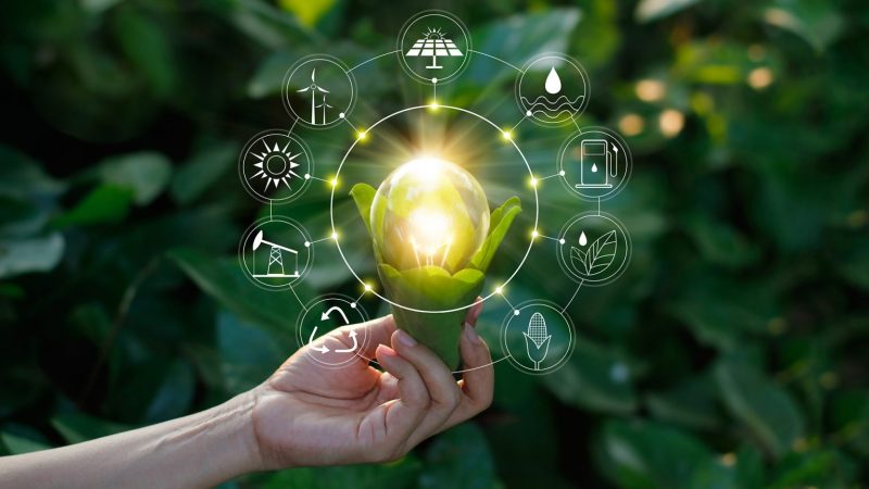 developpement-durable-questionnaire-ci