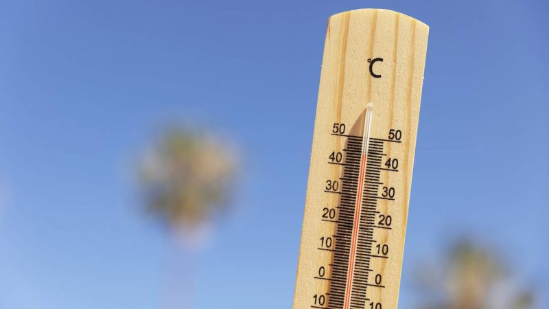 canicule-france-2025-ci