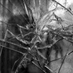violence-2026-ci